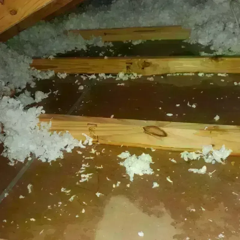 Attic Water Damage in Escatawpa, MS